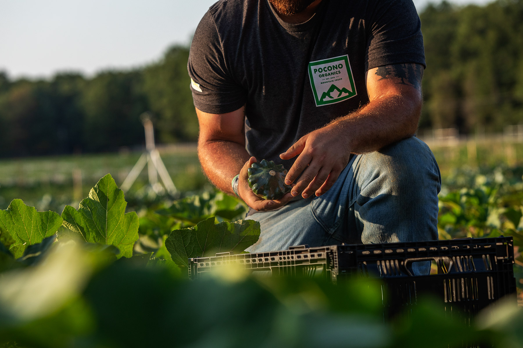 Pocono Organics Farmer by Boston based commercial lifestyle and portrait photographer Brian Nevins