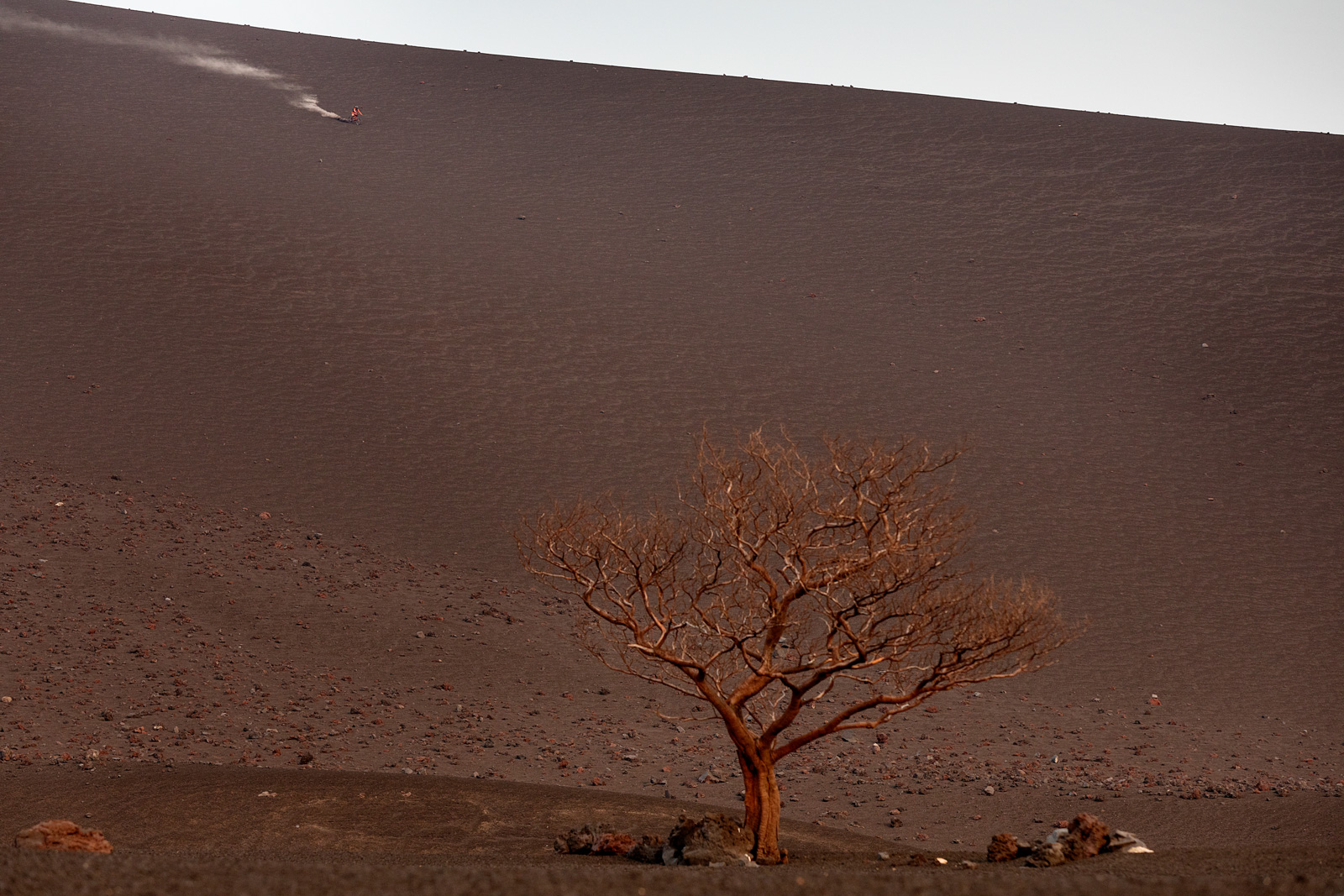 Volcanico mountain bike for Schwalbe and Flor De Cana by Boston based sports photographer Brian Nevins